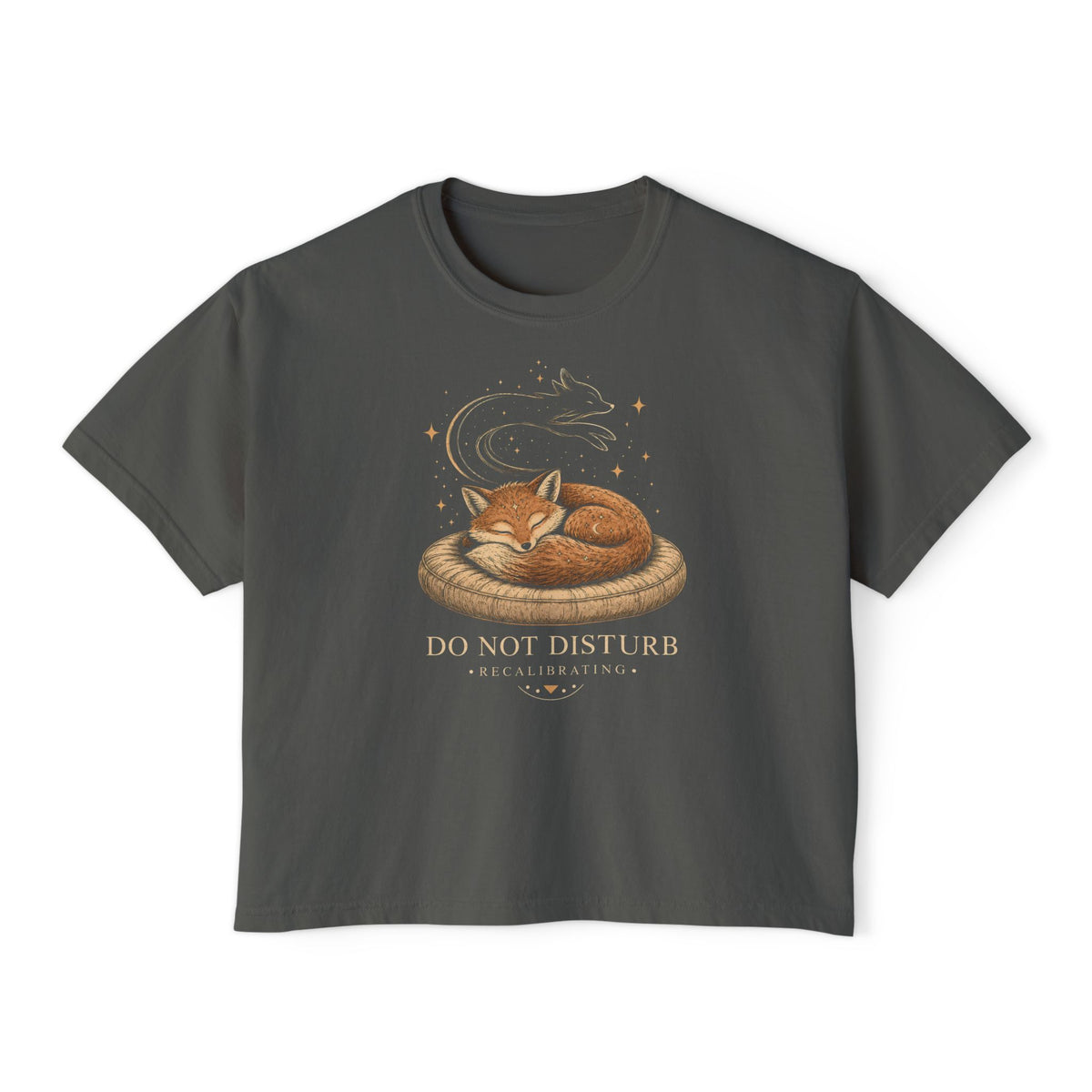 Do Not Disturb Foxy Boxy T-shirt