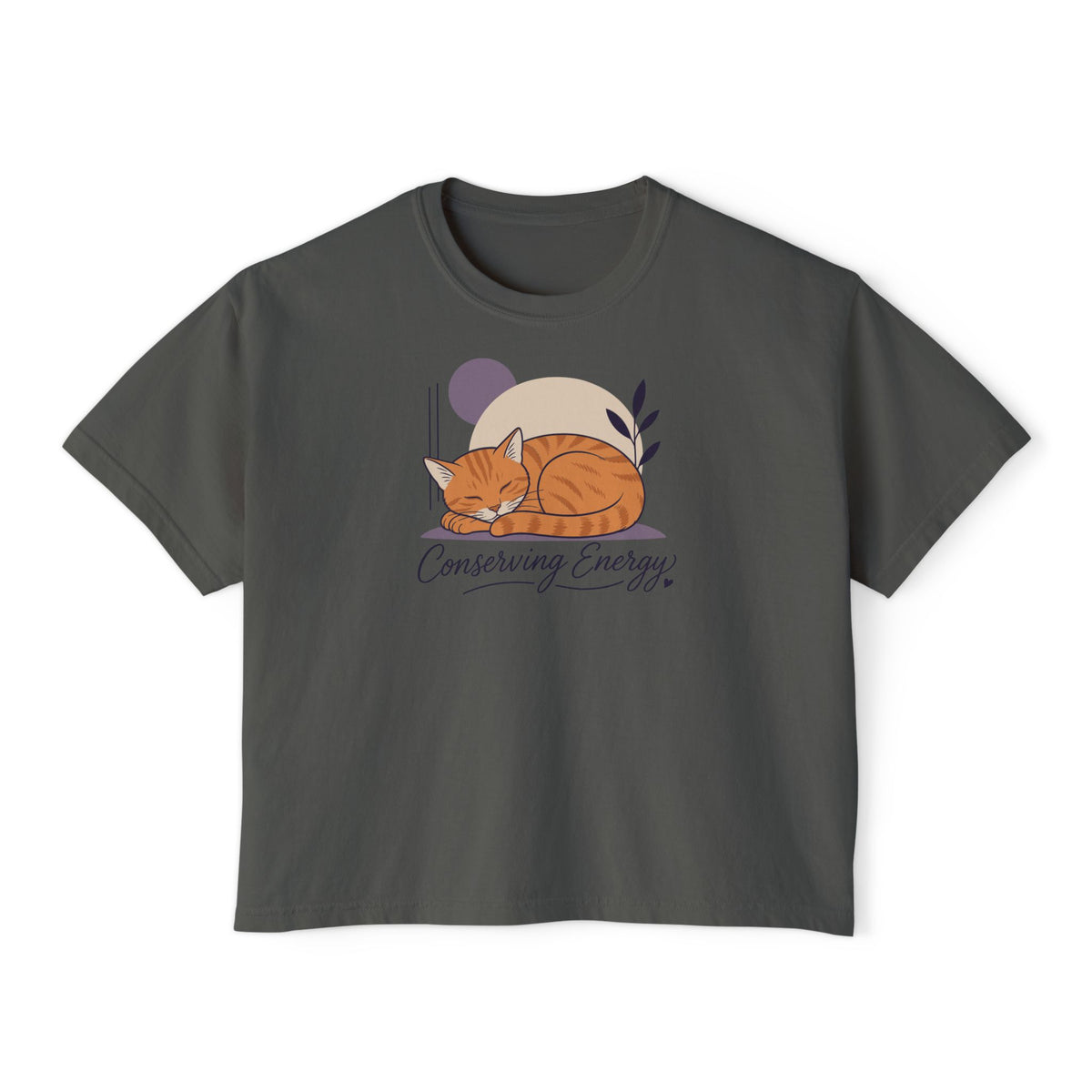 Conserving Energy Cat Boxy T-Shirt