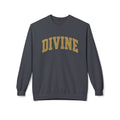 DIVINE Collegiate
