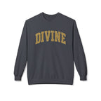 DIVINE Collegiate