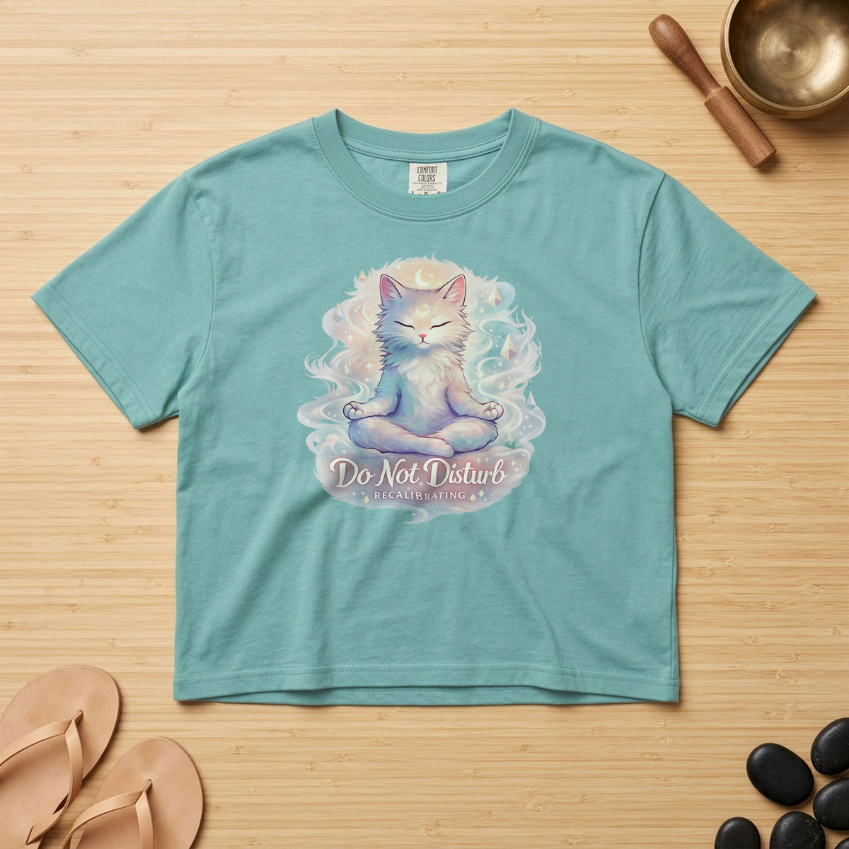 Do Not Disturb Boxy Cat T‑Shirt