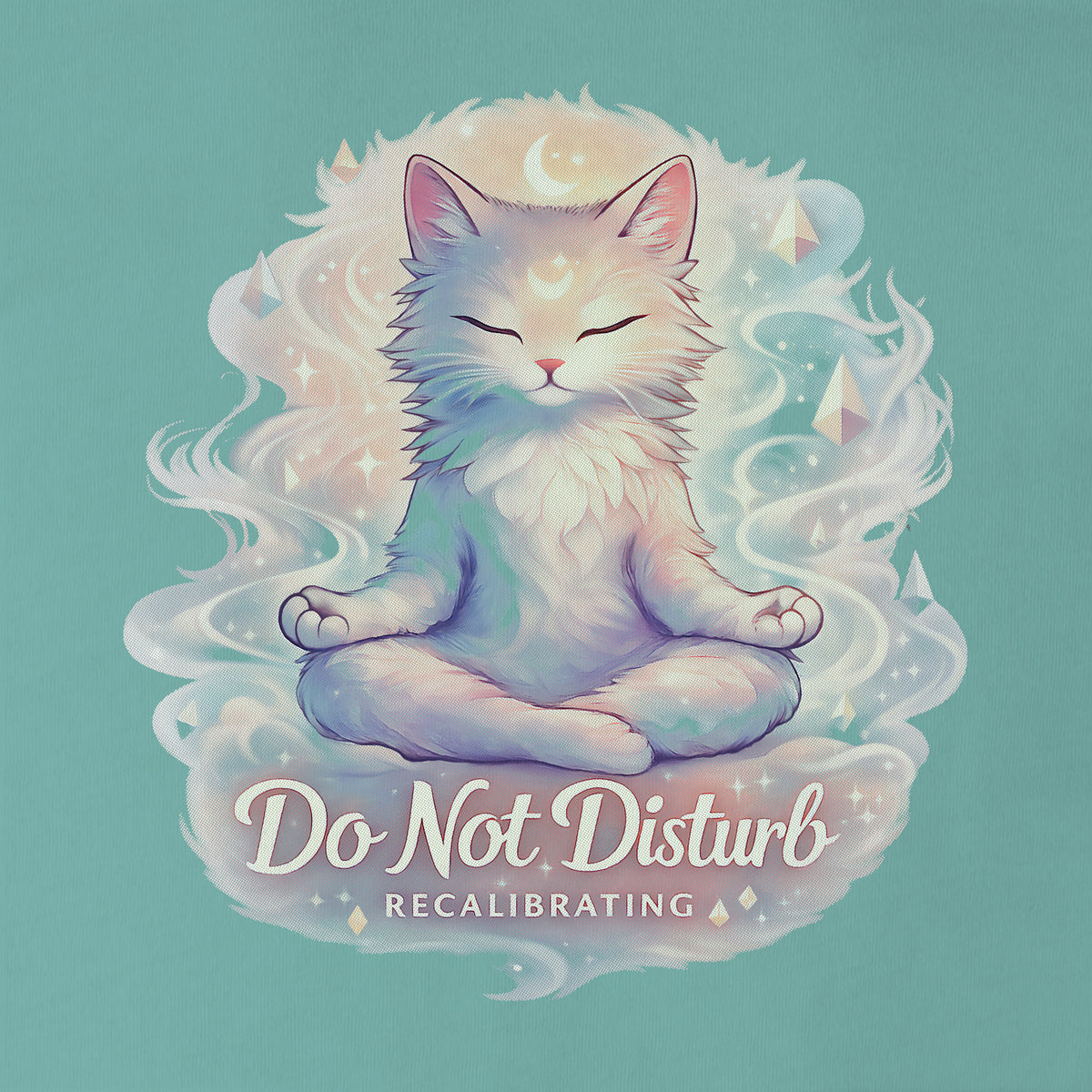 Do Not Disturb Boxy Cat T‑Shirt