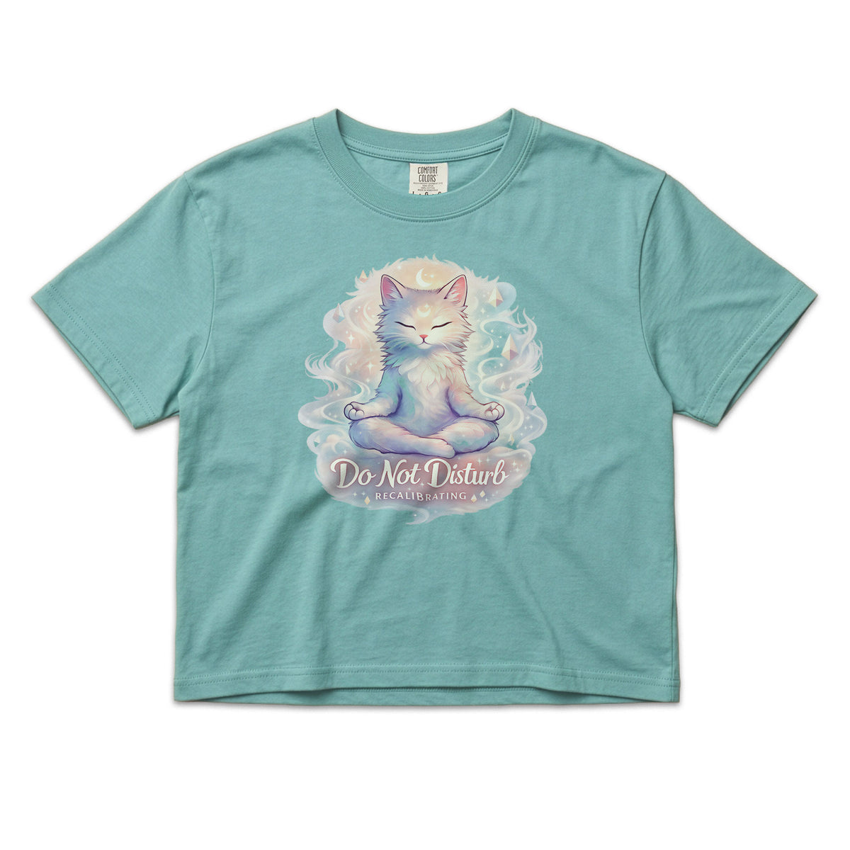 Do Not Disturb Boxy Cat T‑Shirt