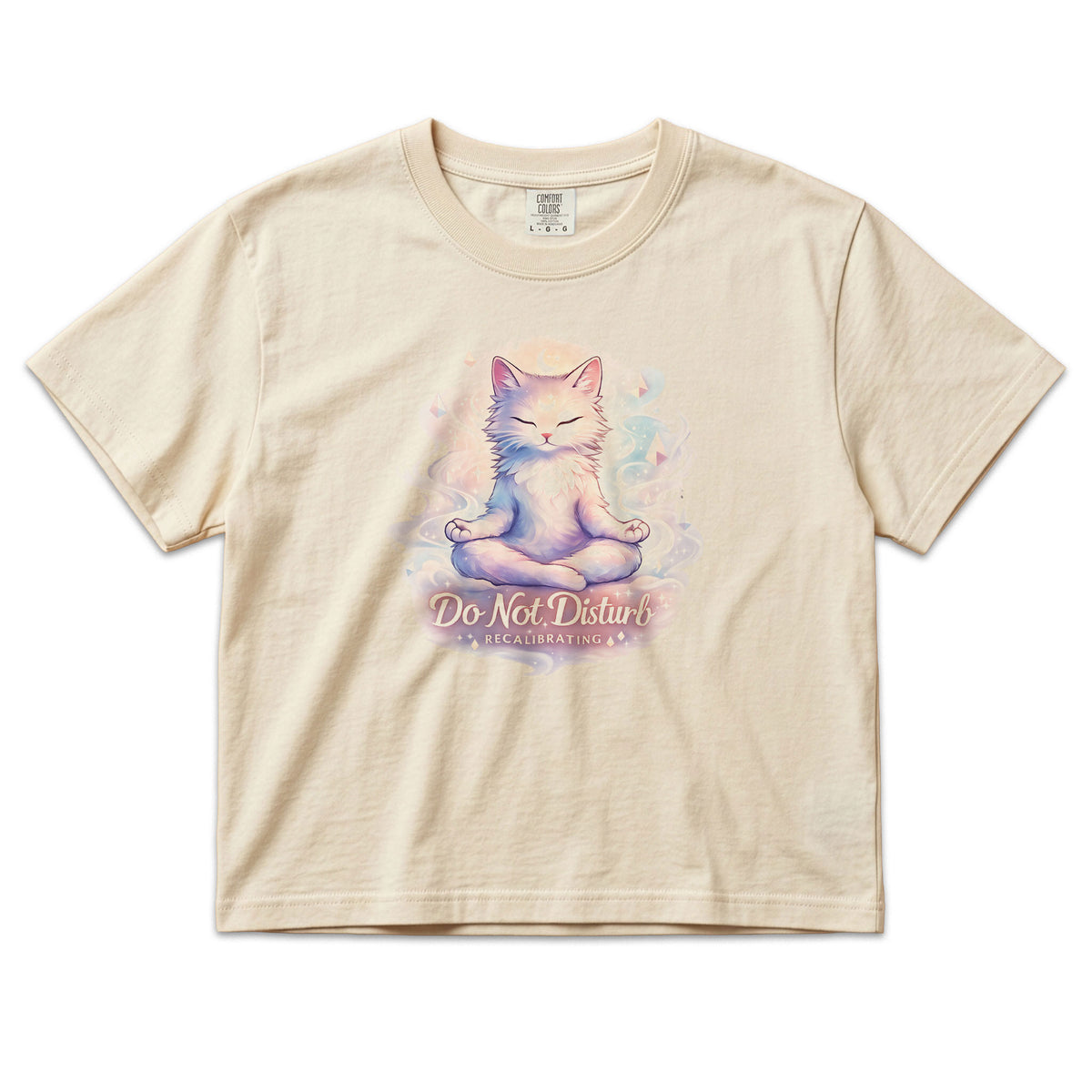 Do Not Disturb Boxy Cat T‑Shirt