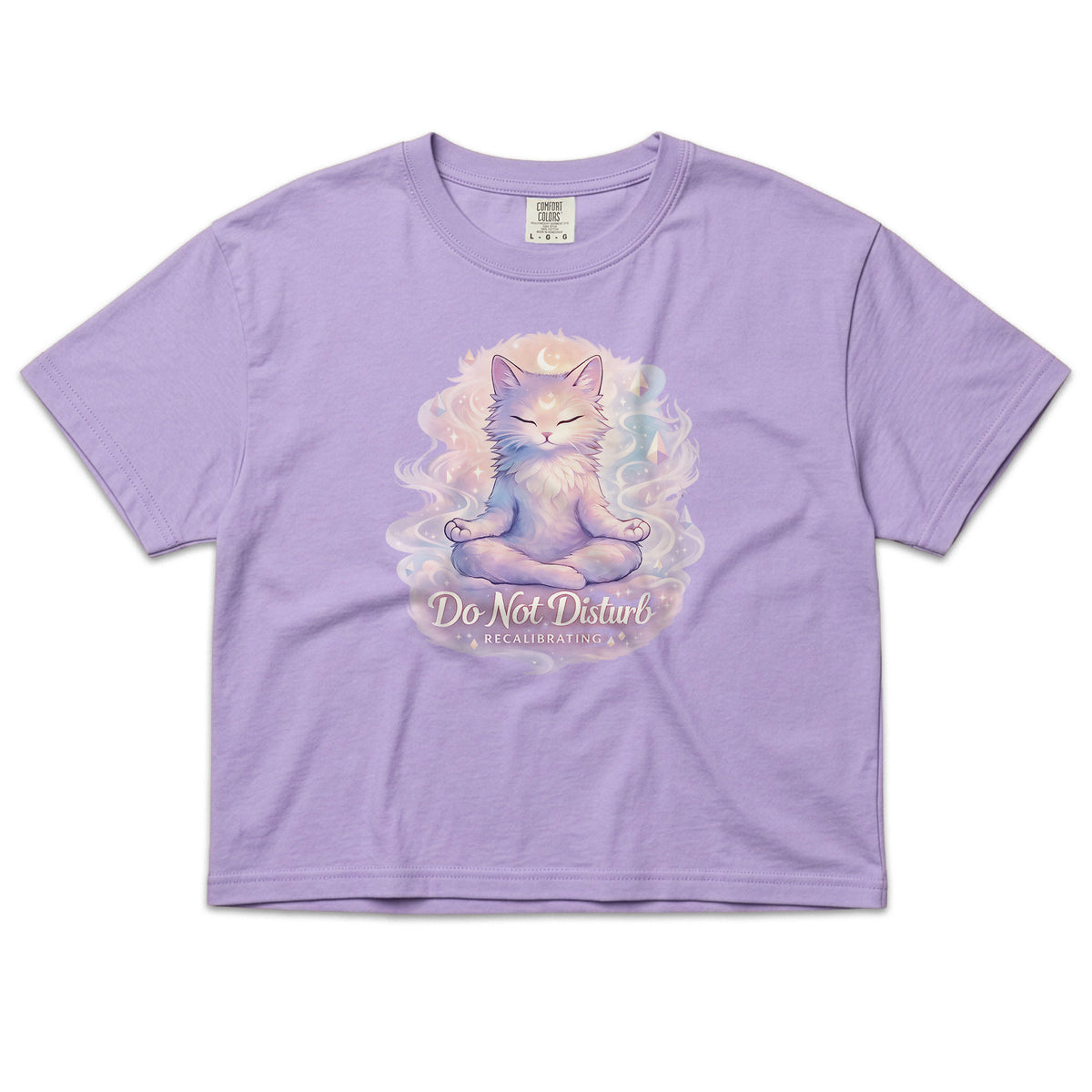 Do Not Disturb Boxy Cat T‑Shirt