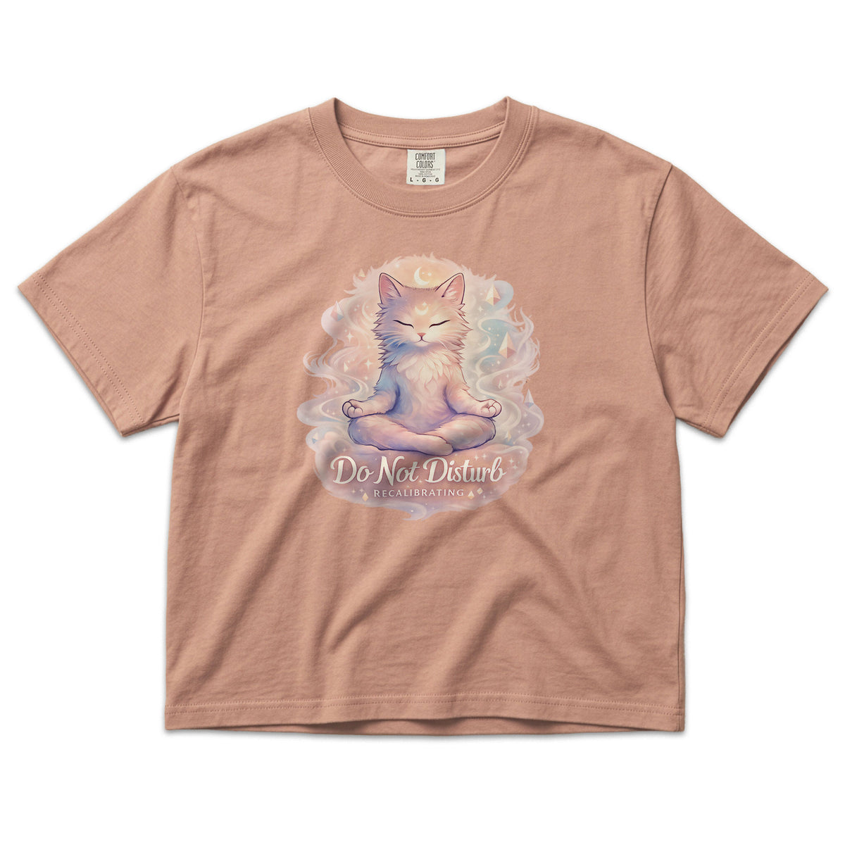 Do Not Disturb Boxy Cat T‑Shirt